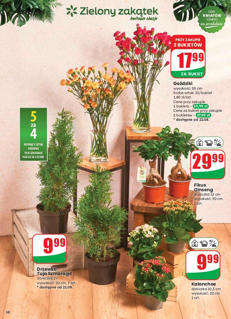 Gazetka promocyjna DINO str. 57