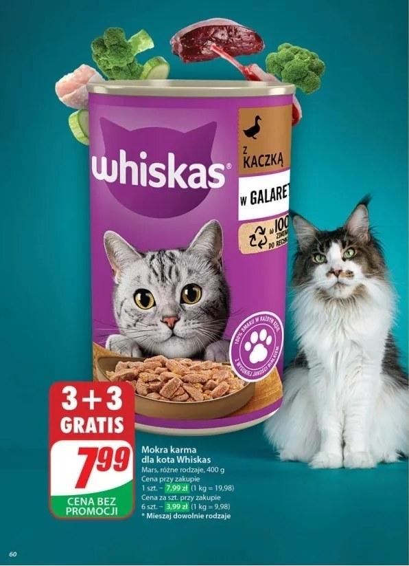 Gazetka promocyjna DINO str. 60