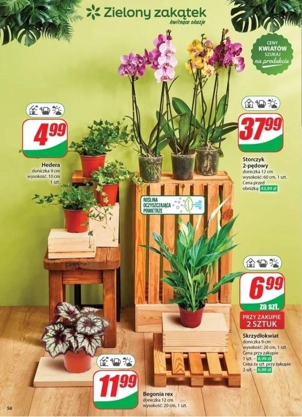 Gazetka promocyjna DINO str. 56