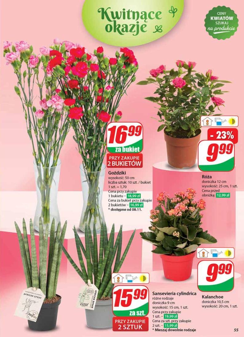 Gazetka promocyjna DINO str. 55