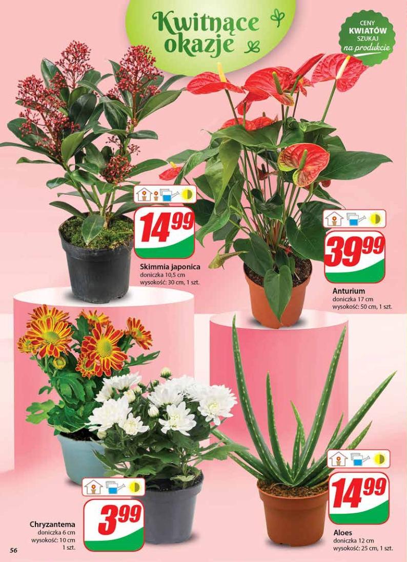 Gazetka promocyjna DINO str. 56