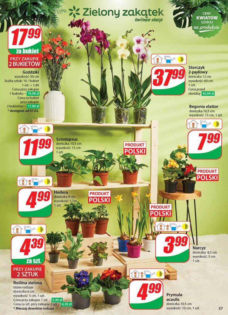 Gazetka promocyjna DINO str. 57