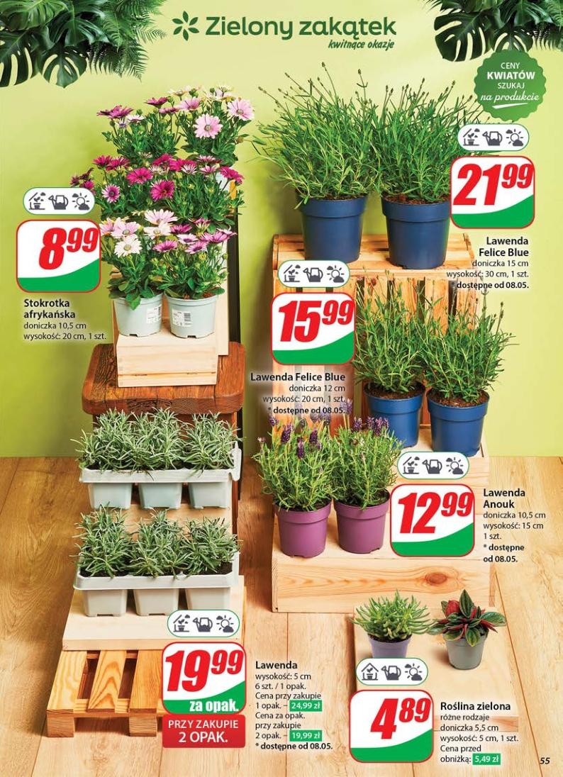 Gazetka promocyjna DINO str. 55