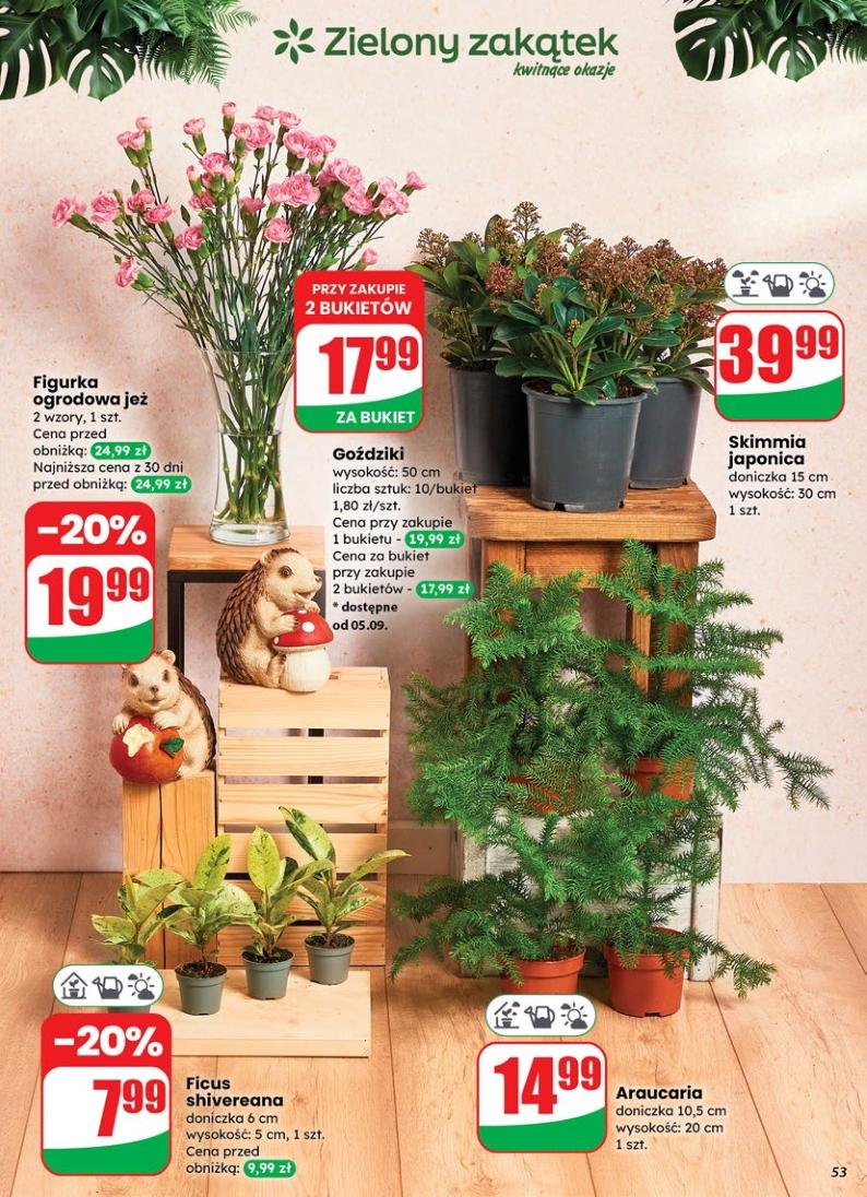 Gazetka promocyjna DINO str. 53