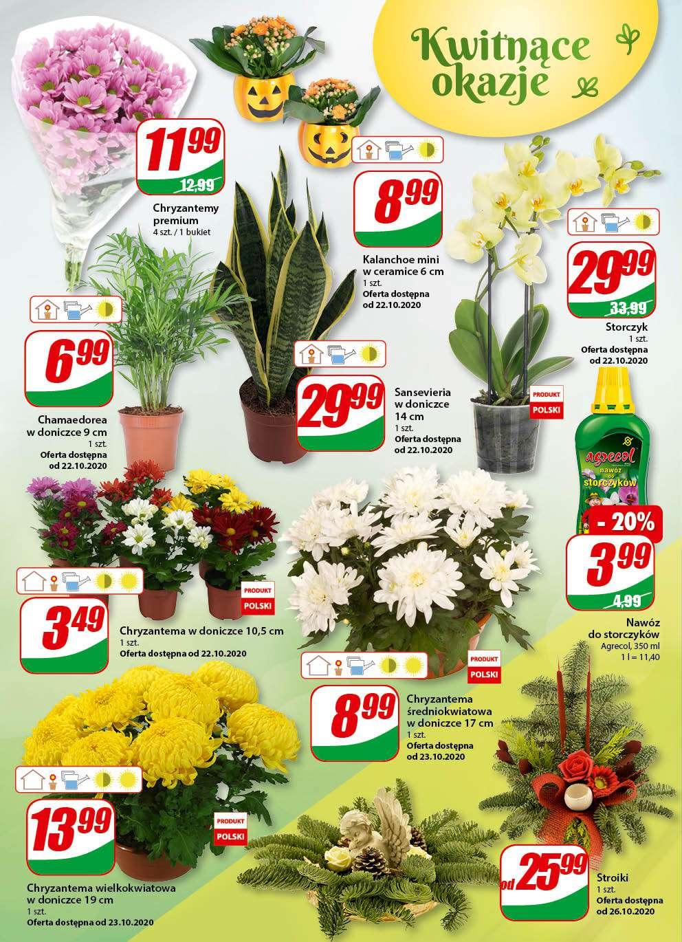 Gazetka promocyjna DINO str. 14