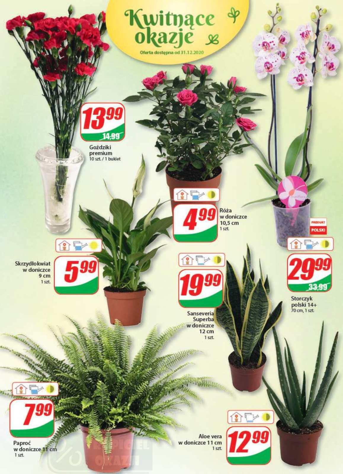 Gazetka promocyjna DINO str. 16