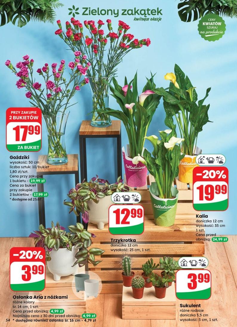 Gazetka promocyjna DINO str. 54