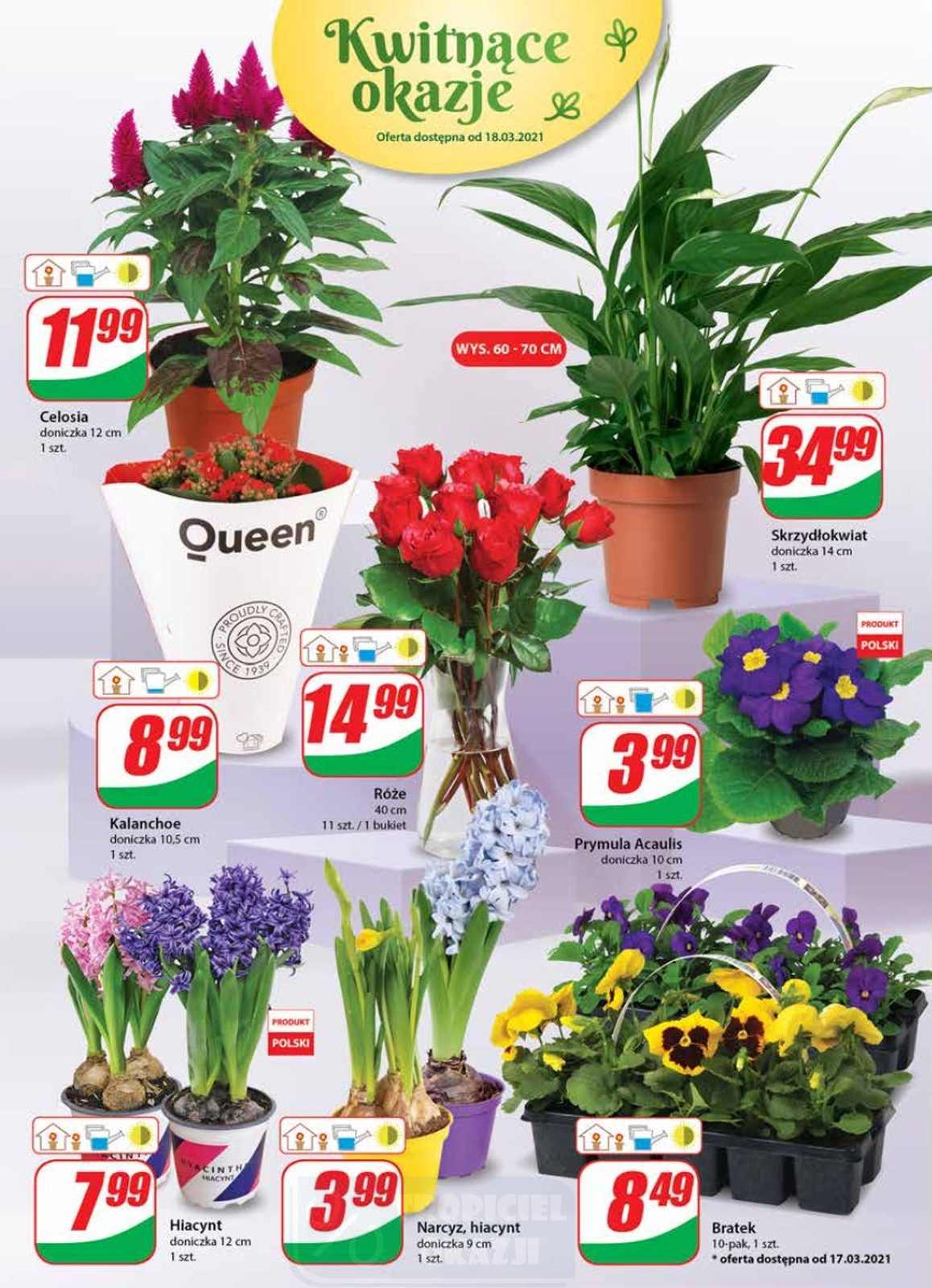 Gazetka promocyjna DINO str. 18