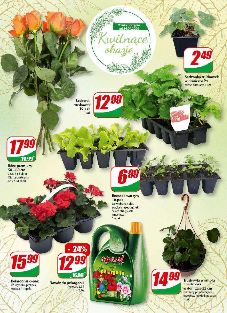 Gazetka promocyjna DINO str. 14