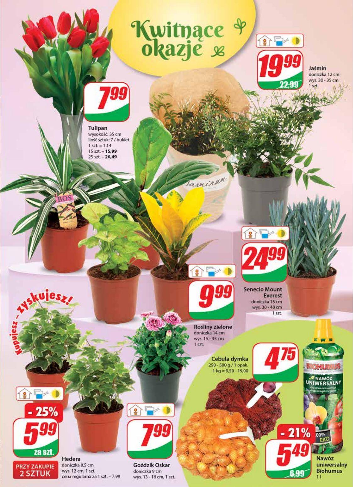 Gazetka promocyjna DINO str. 19