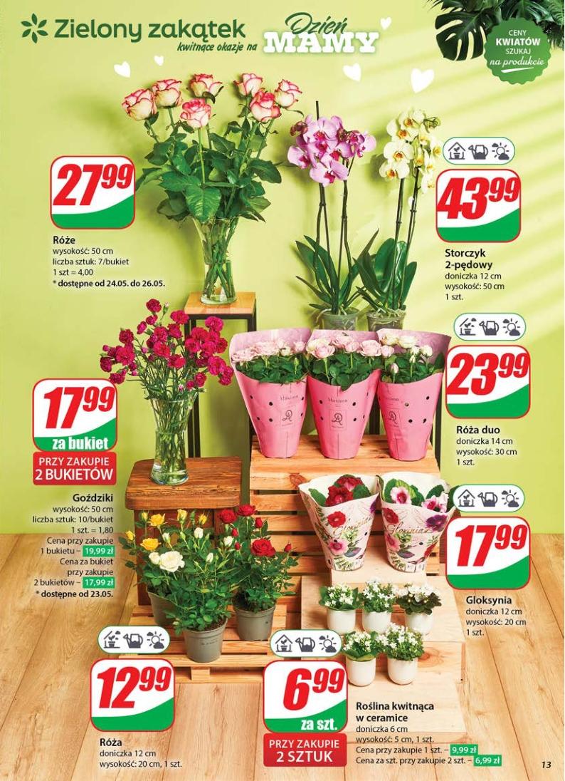 Gazetka promocyjna DINO str. 13