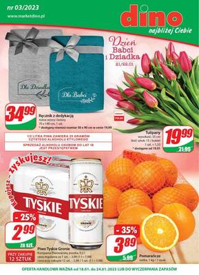 Gazetka Dino