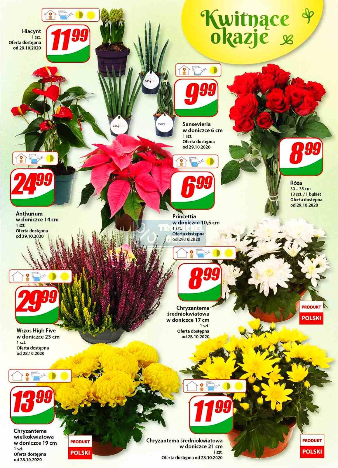 Gazetka promocyjna DINO str. 15