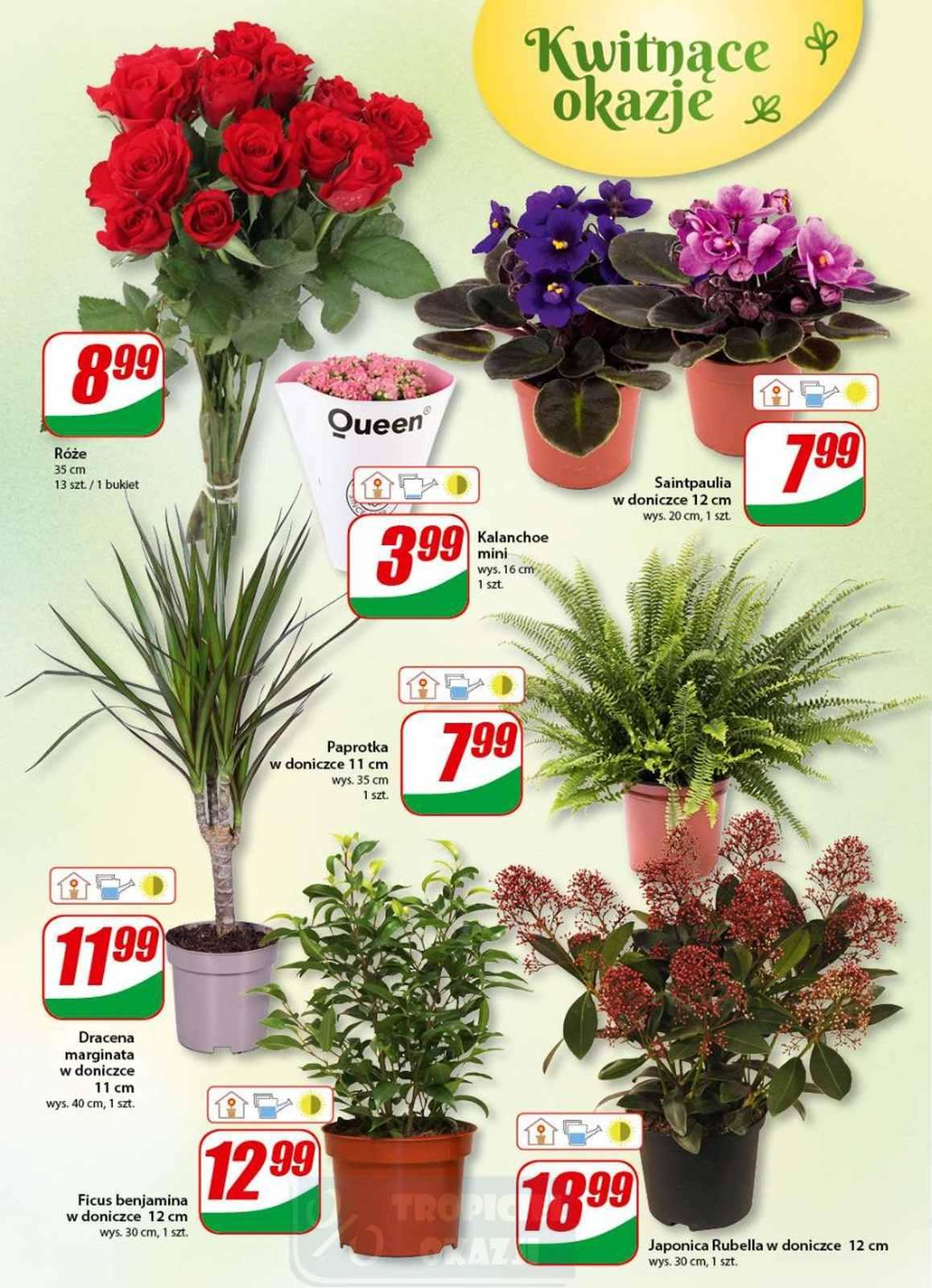 Gazetka promocyjna DINO str. 16