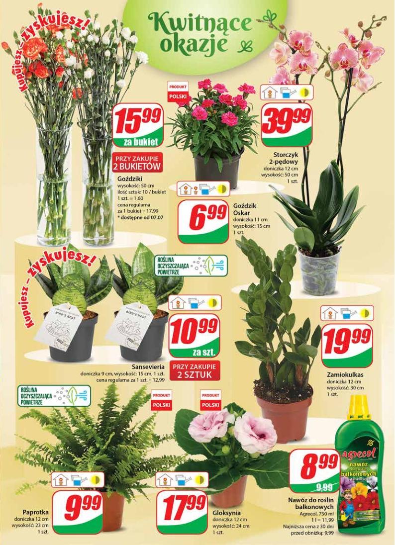 Gazetka promocyjna DINO str. 19