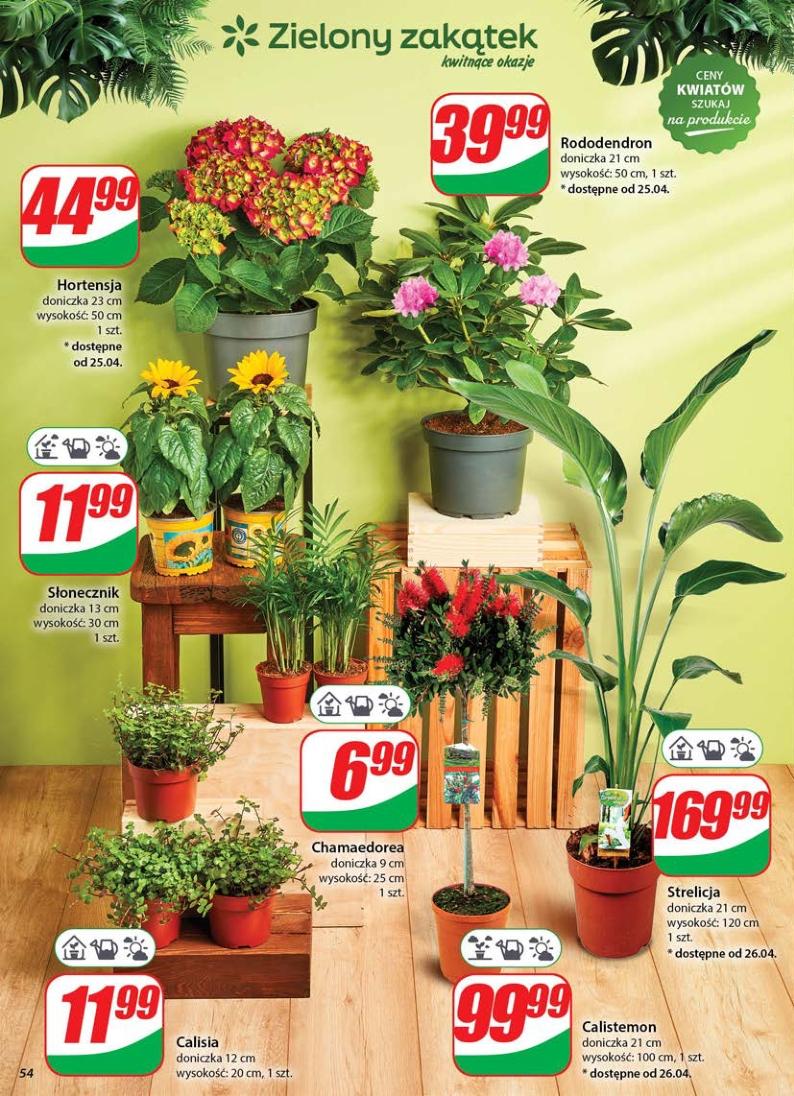 Gazetka promocyjna DINO str. 54