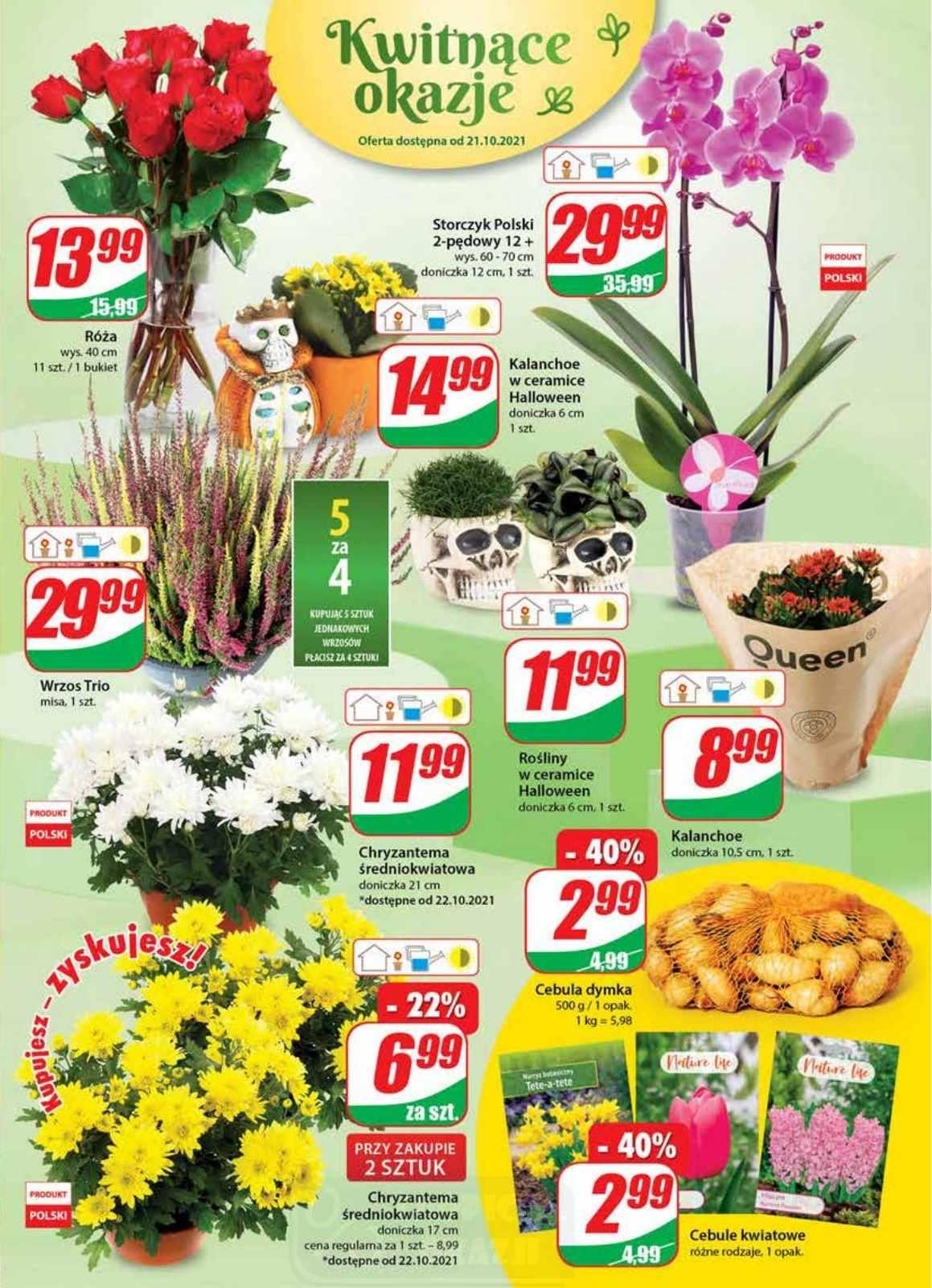 Gazetka promocyjna DINO str. 17