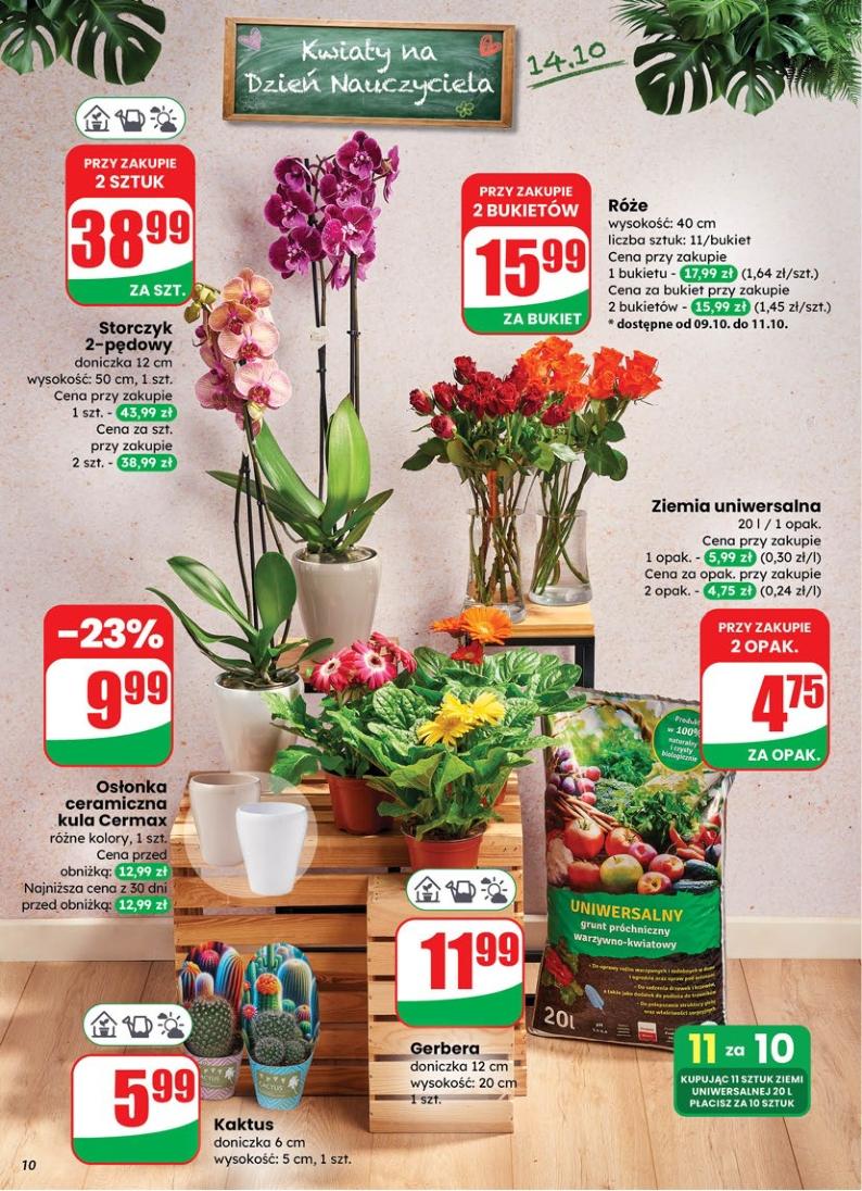 Gazetka promocyjna DINO str. 10