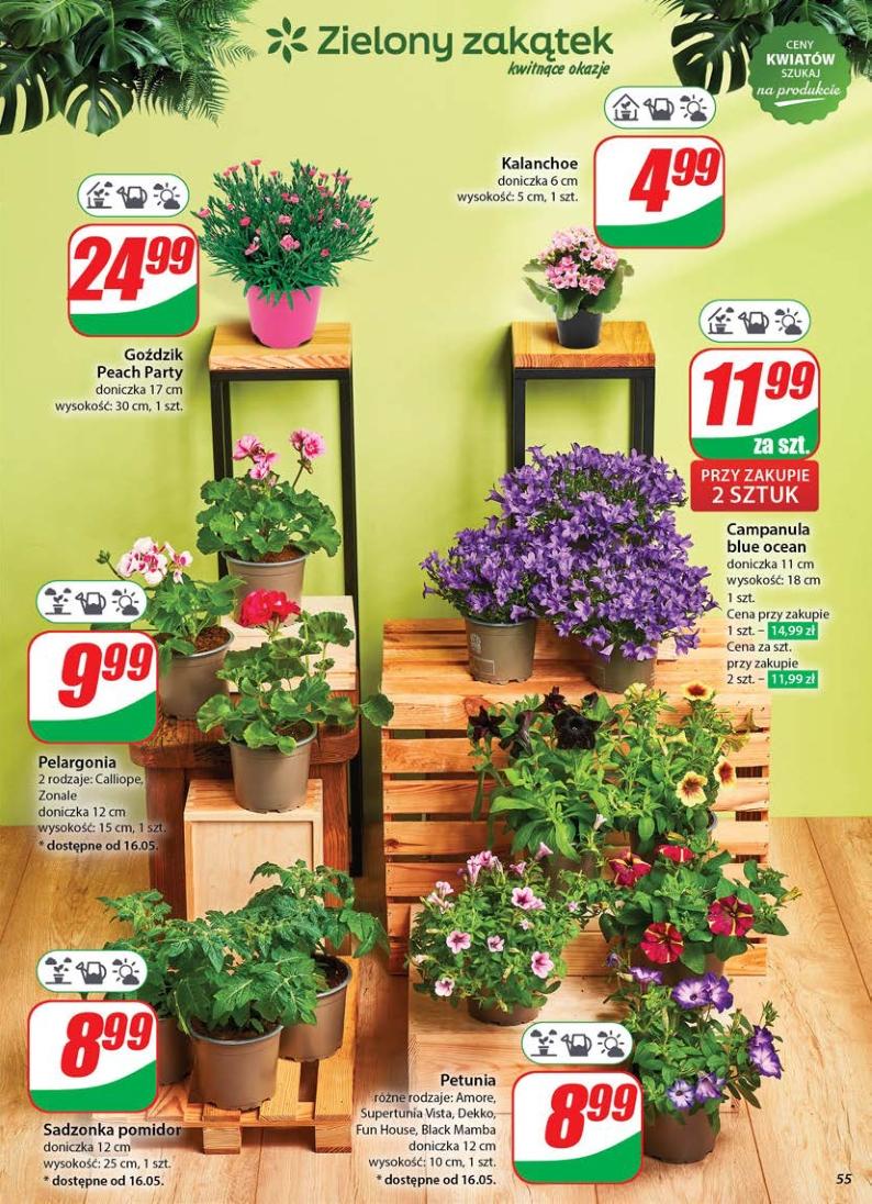 Gazetka promocyjna DINO str. 55