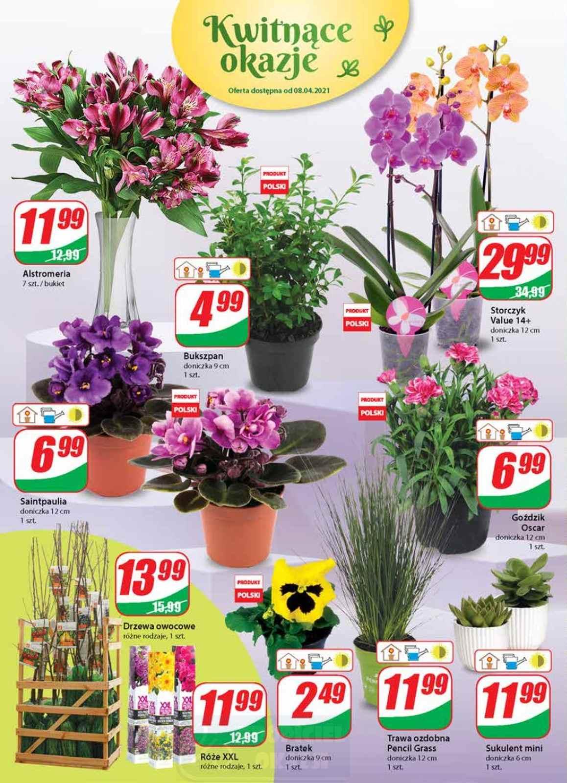 Gazetka promocyjna DINO str. 18