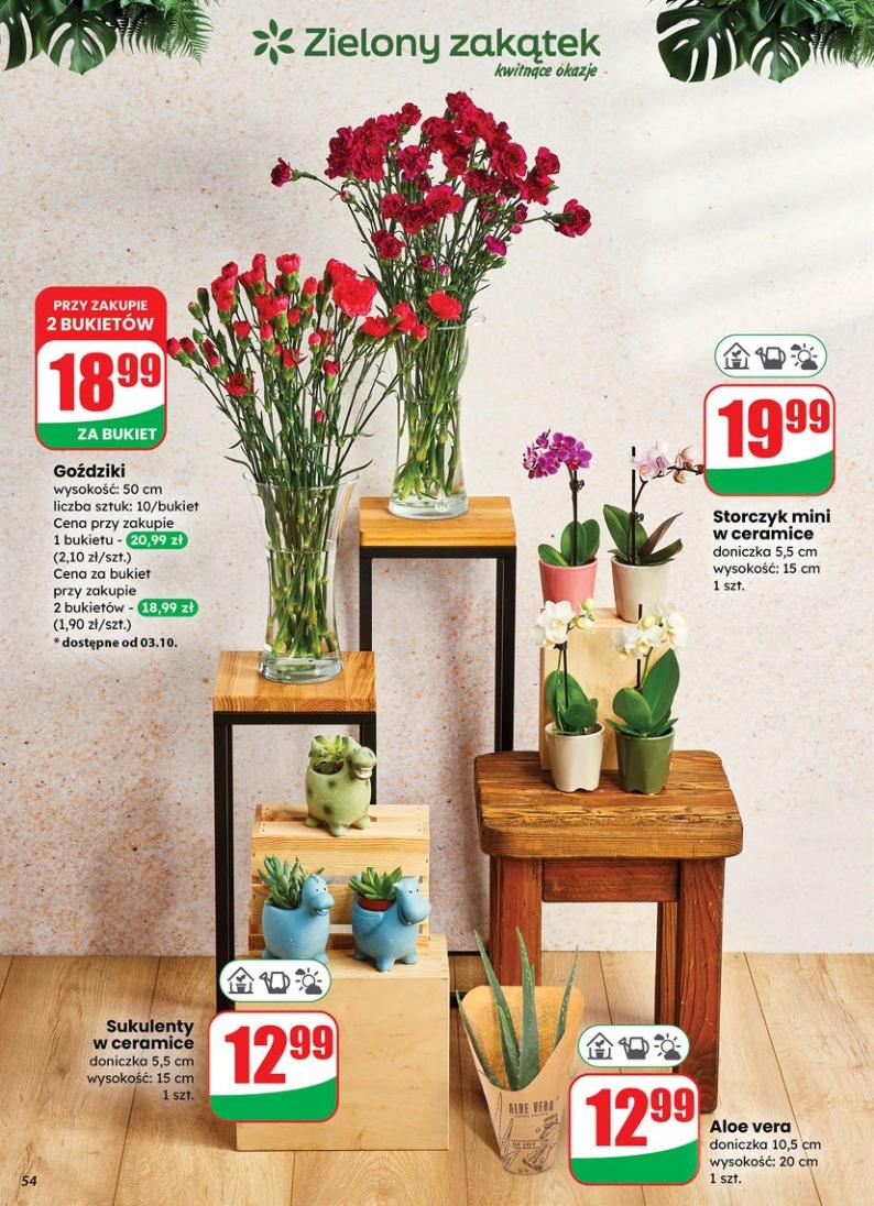 Gazetka promocyjna DINO str. 54