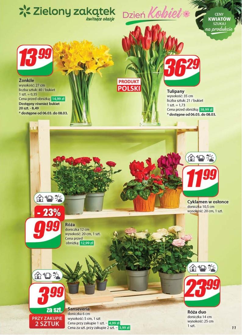 Gazetka promocyjna DINO str. 11