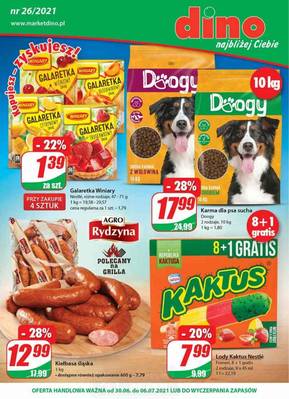 Gazetka Dino