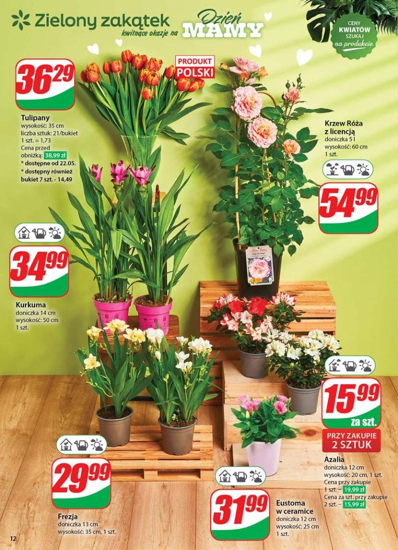 Gazetka promocyjna DINO str. 12