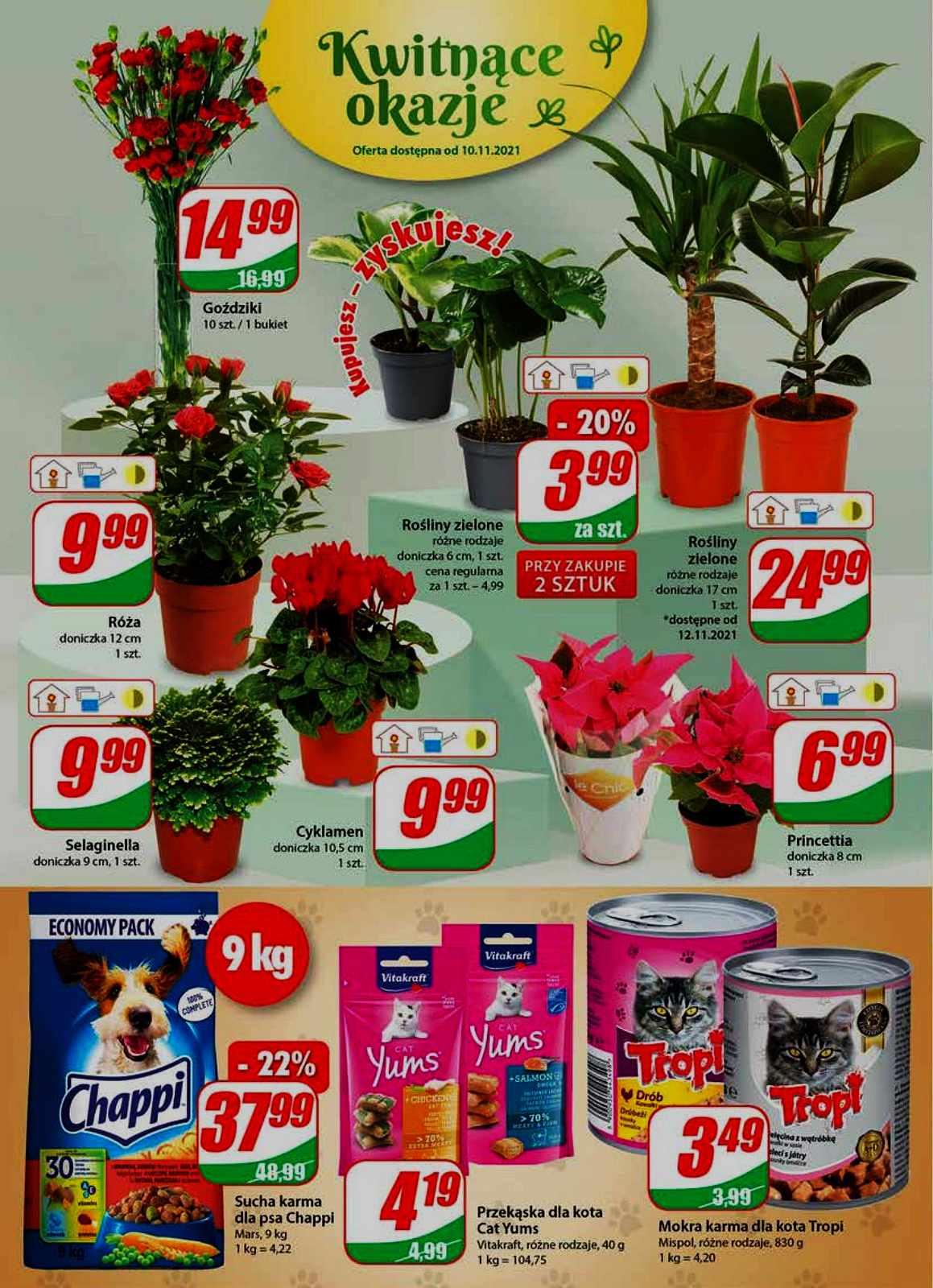 Gazetka promocyjna DINO str. 16