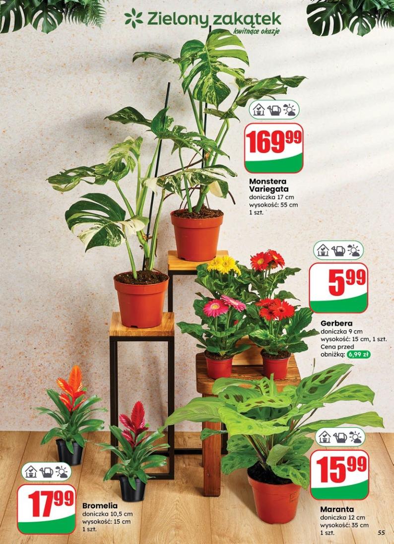 Gazetka promocyjna DINO str. 55