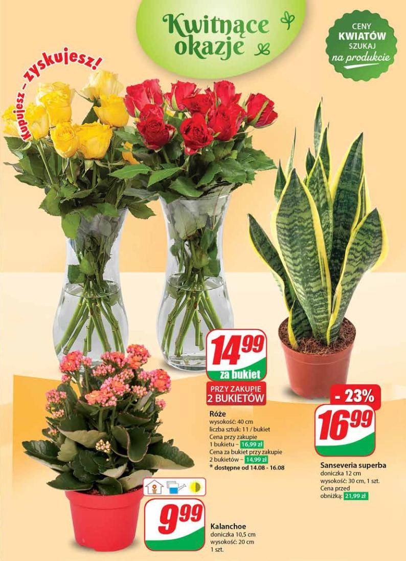 Gazetka promocyjna DINO str. 49