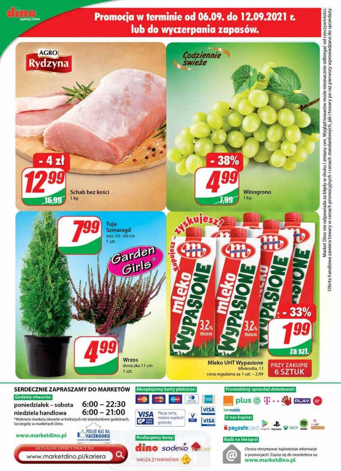 Gazetka promocyjna DINO str. 20