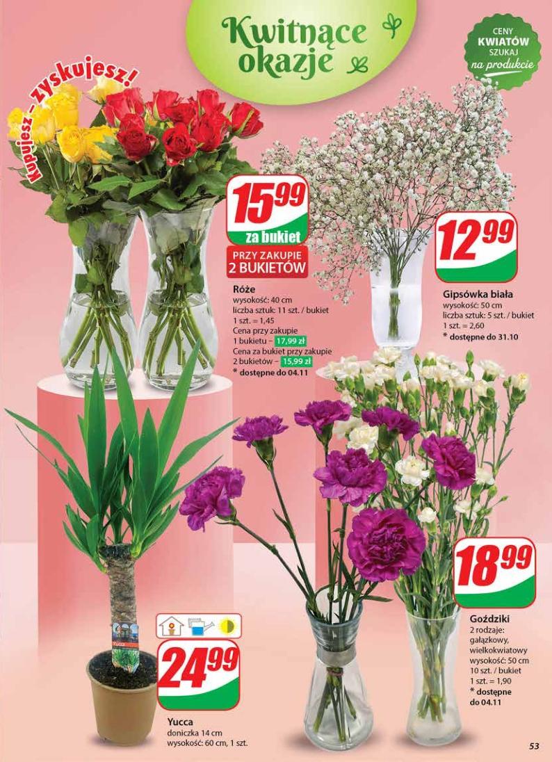 Gazetka promocyjna DINO str. 53