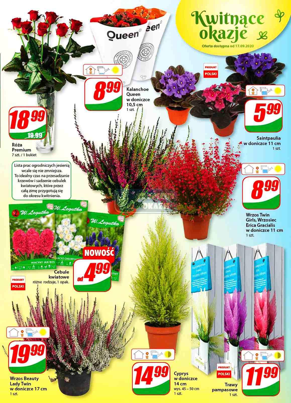 Gazetka promocyjna DINO str. 15