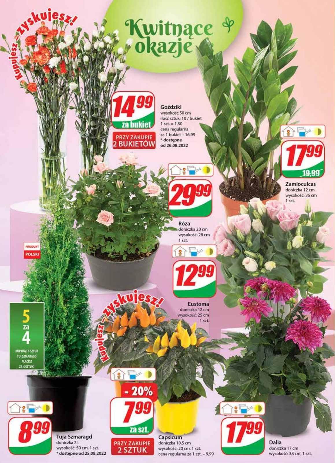 Gazetka promocyjna DINO str. 19