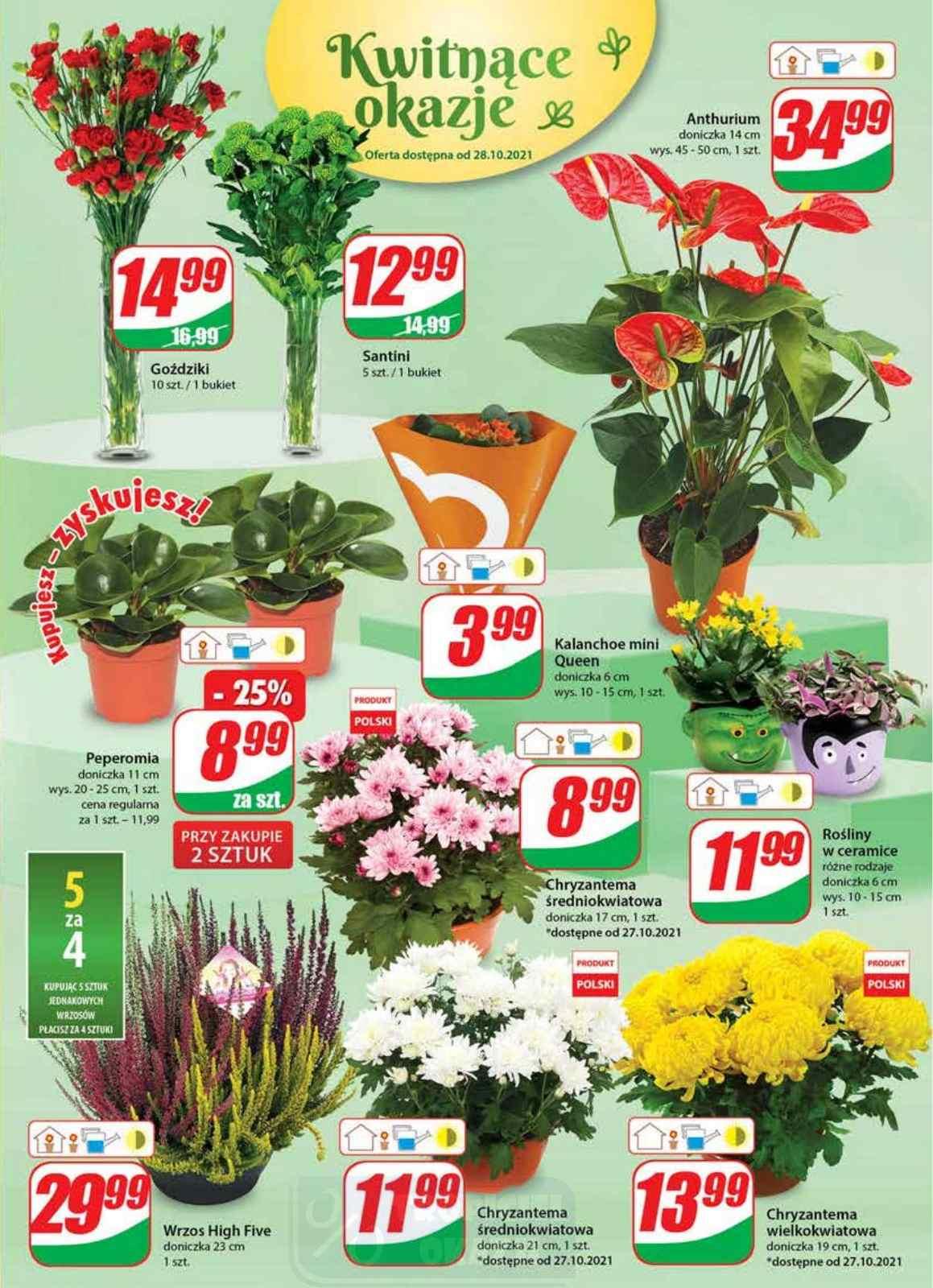 Gazetka promocyjna DINO str. 15