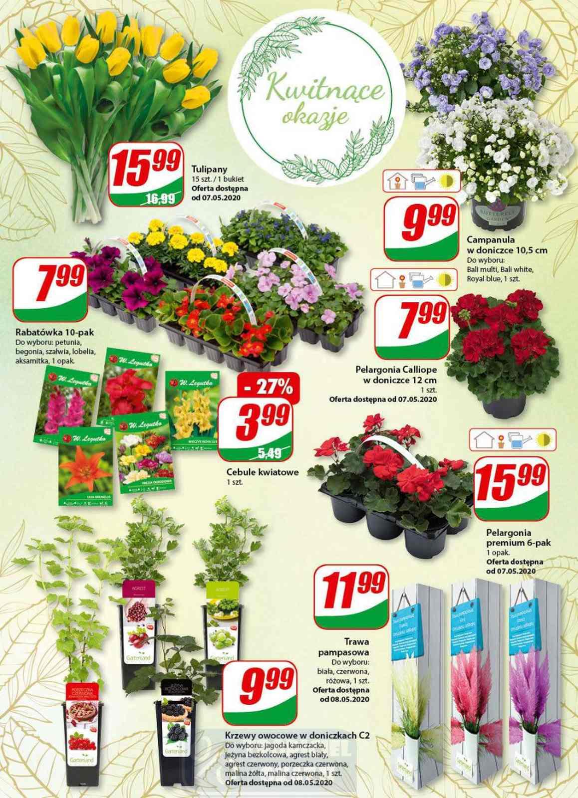 Gazetka promocyjna DINO str. 14