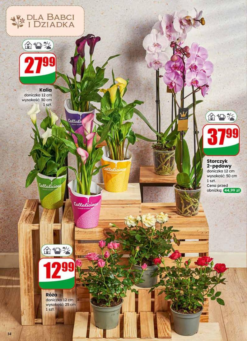 Gazetka promocyjna DINO str. 14