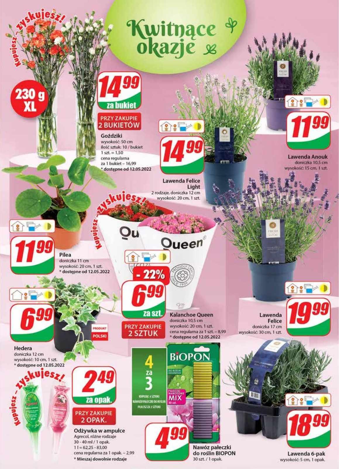 Gazetka promocyjna DINO str. 19