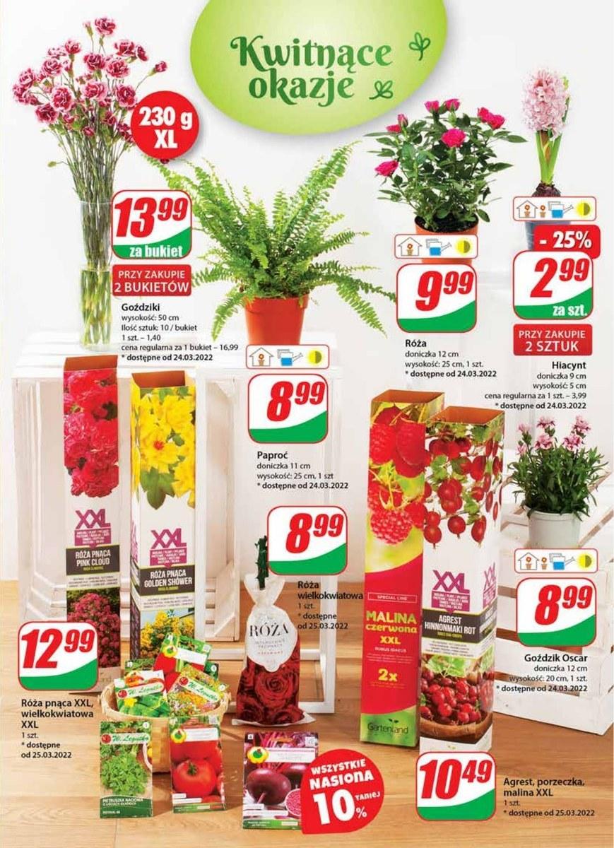 Gazetka promocyjna DINO str. 19