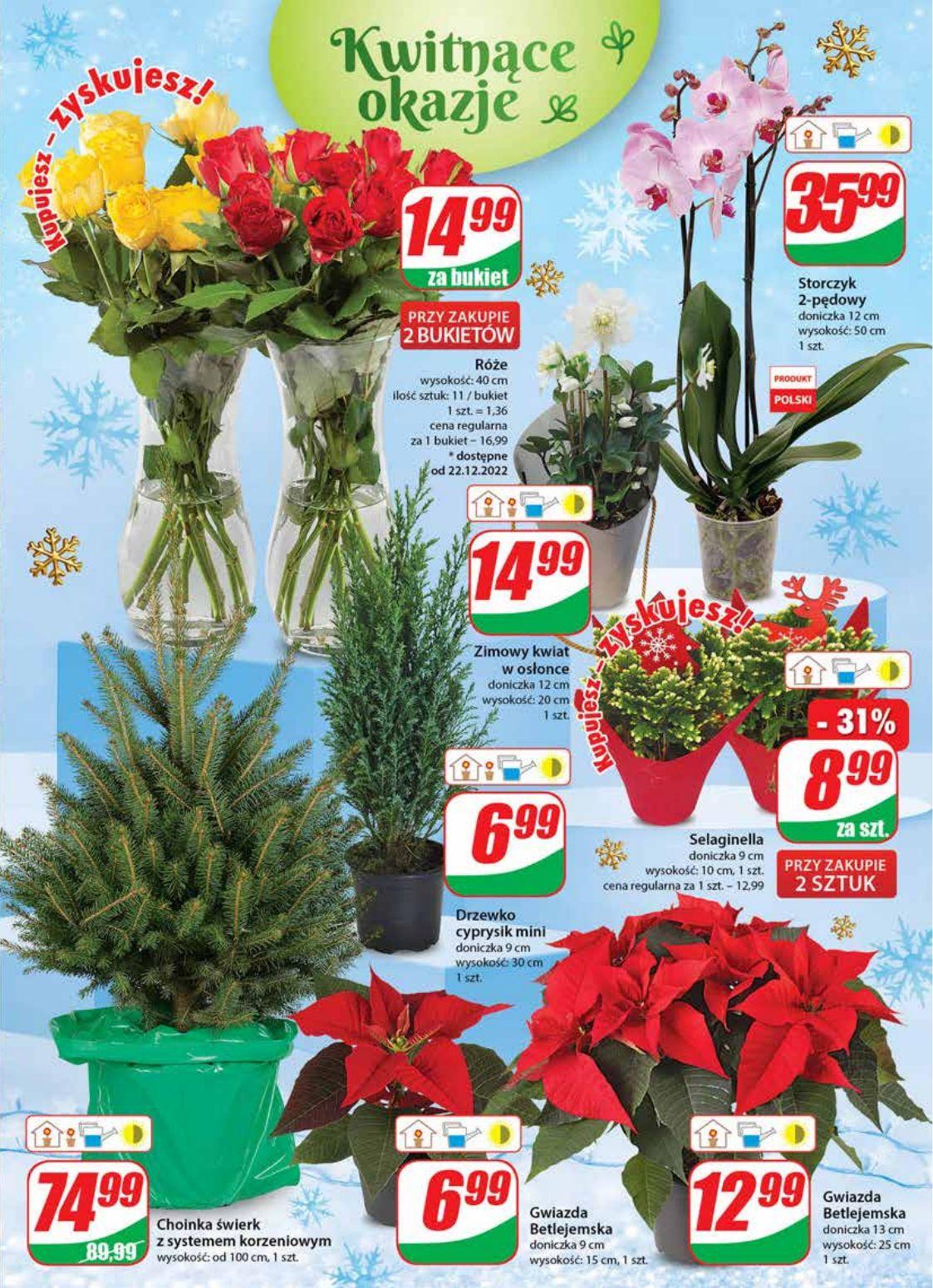 Gazetka promocyjna DINO str. 21