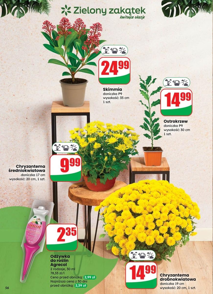 Gazetka promocyjna DINO str. 56