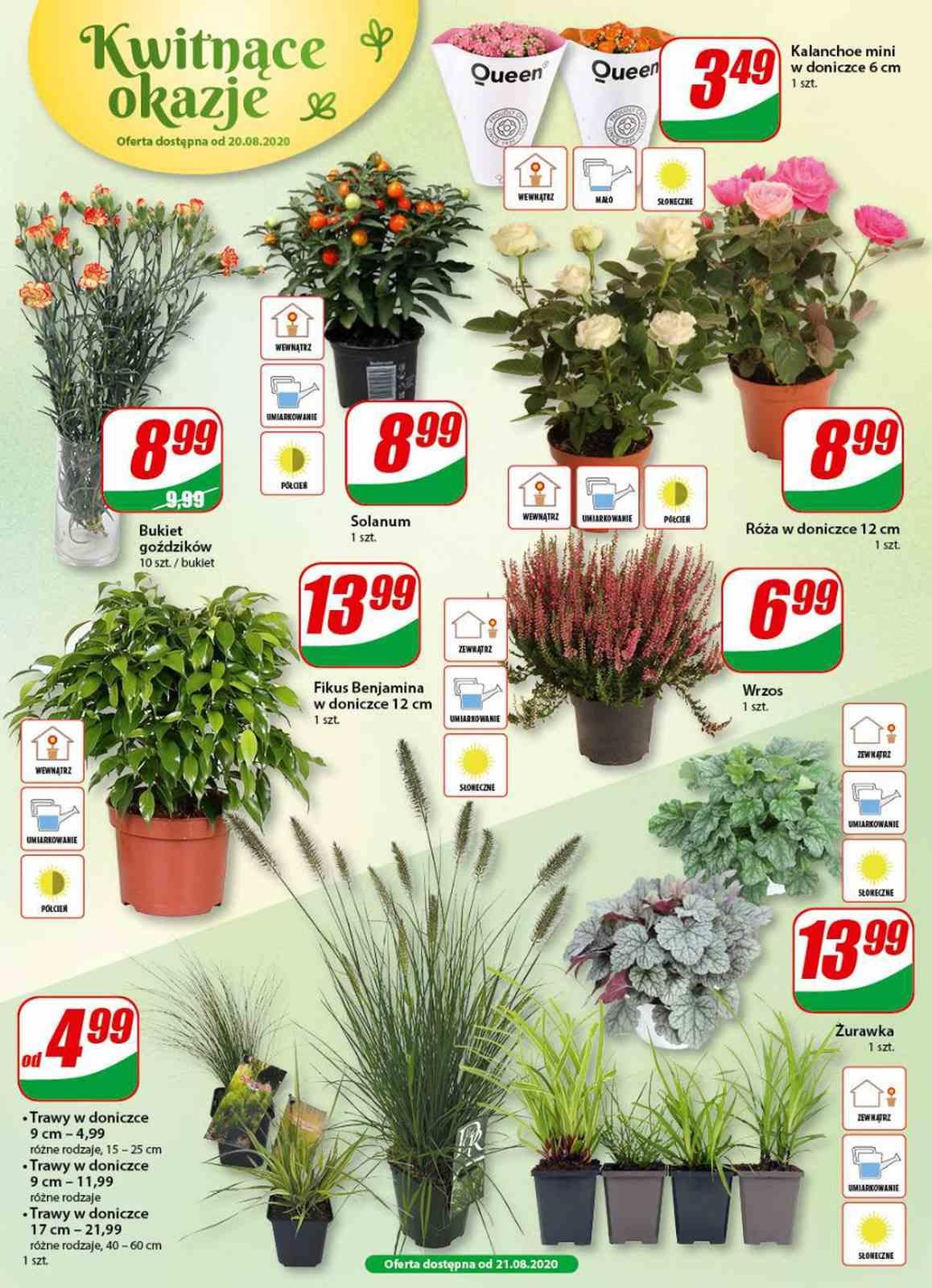 Gazetka promocyjna DINO str. 14