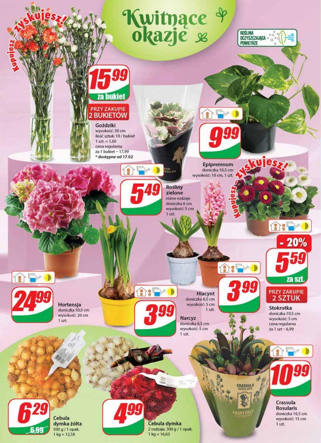 Gazetka promocyjna DINO str. 20