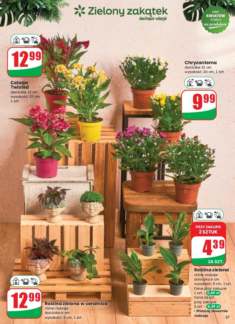 Gazetka promocyjna DINO str. 57