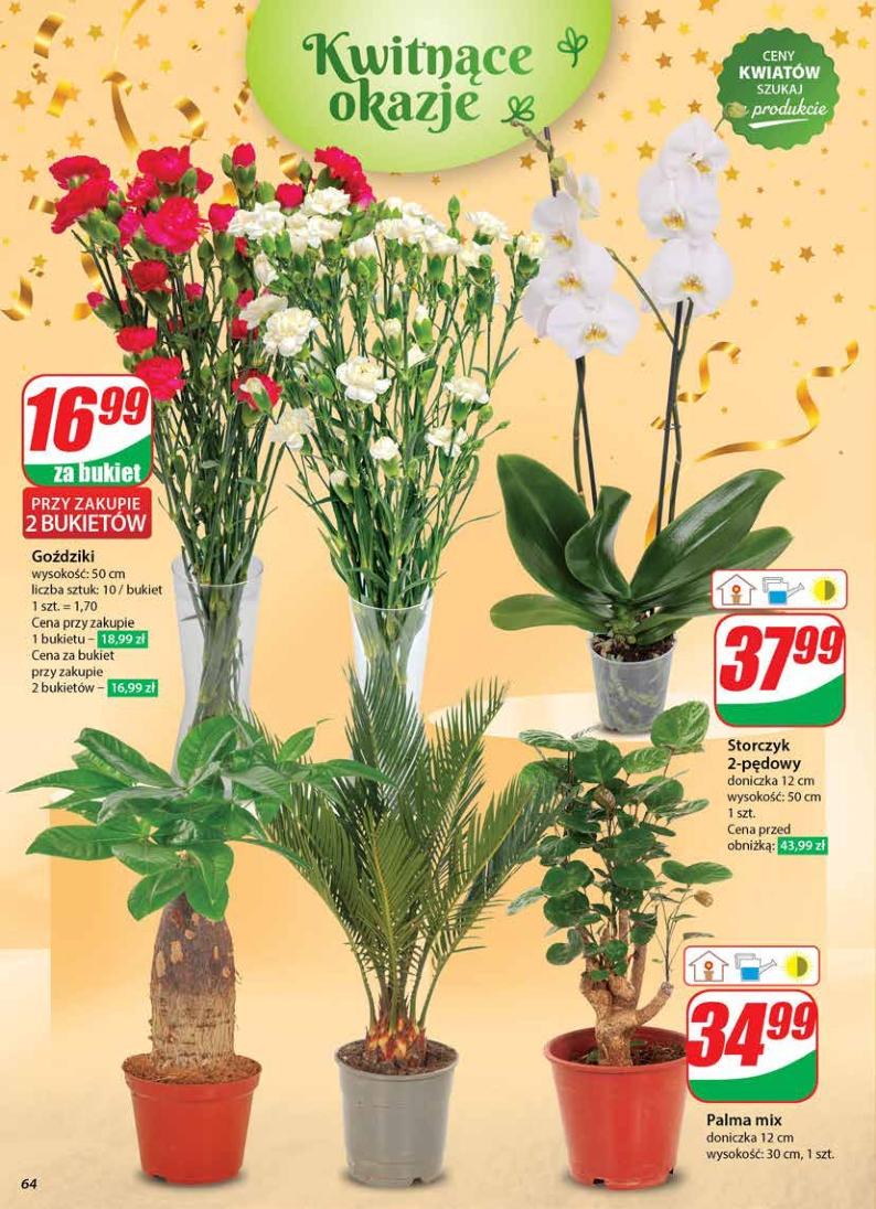 Gazetka promocyjna DINO str. 63