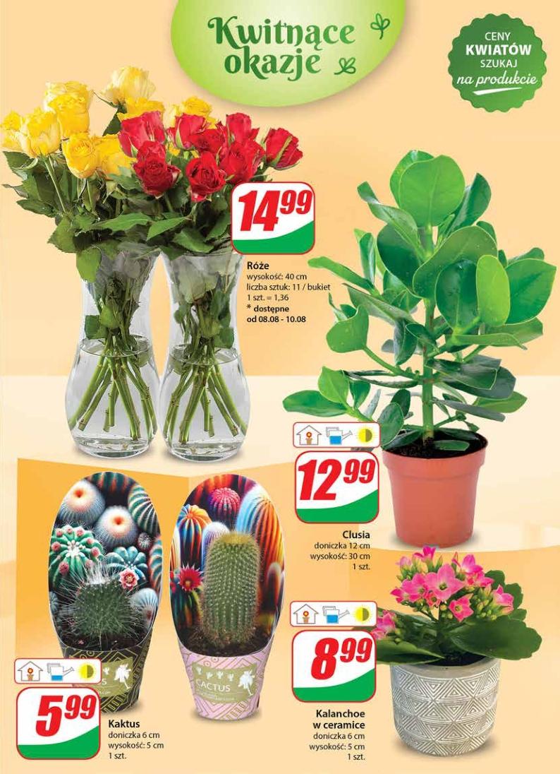 Gazetka promocyjna DINO str. 49