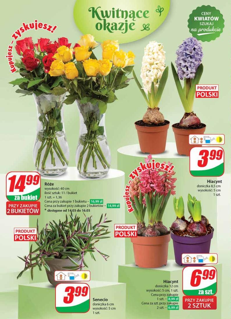 Gazetka promocyjna DINO str. 48