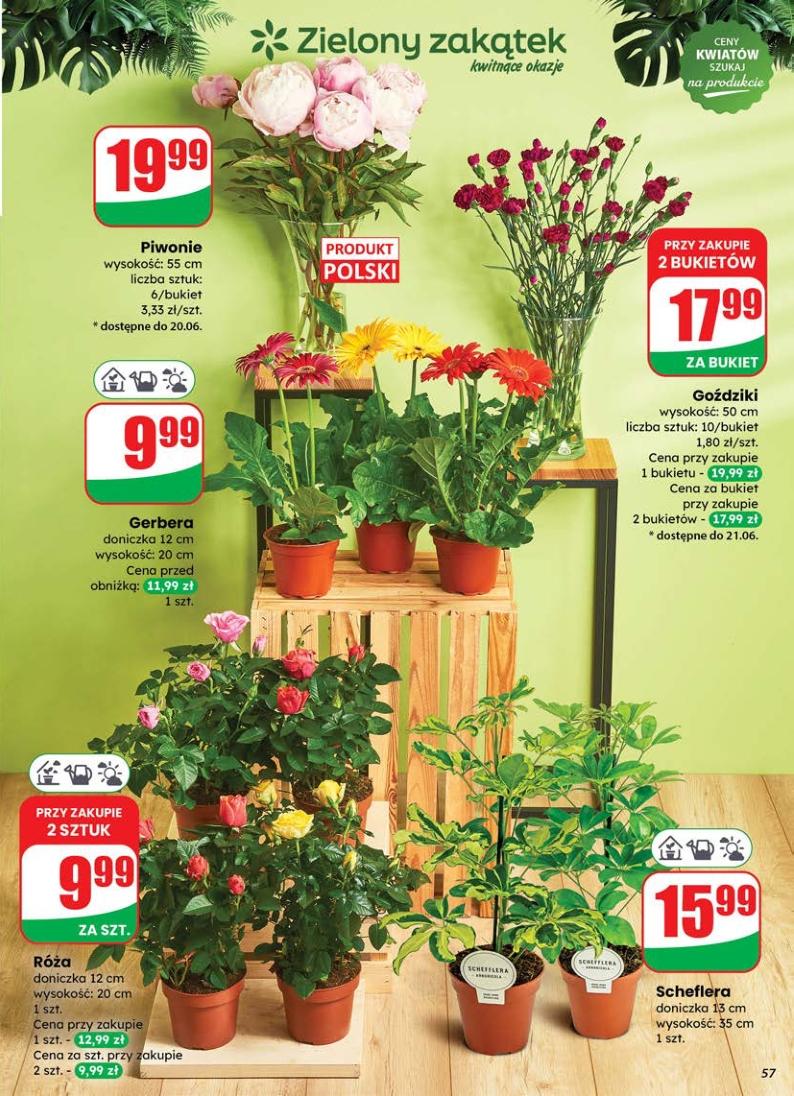 Gazetka promocyjna DINO str. 57