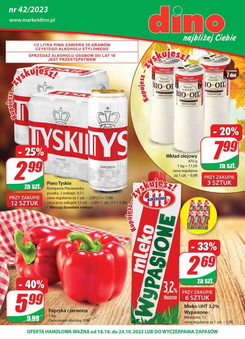 Gazetka promocyjna DINO str. 1